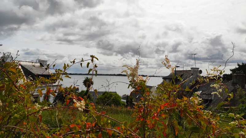 Baden-Ile-aux-Moines-3