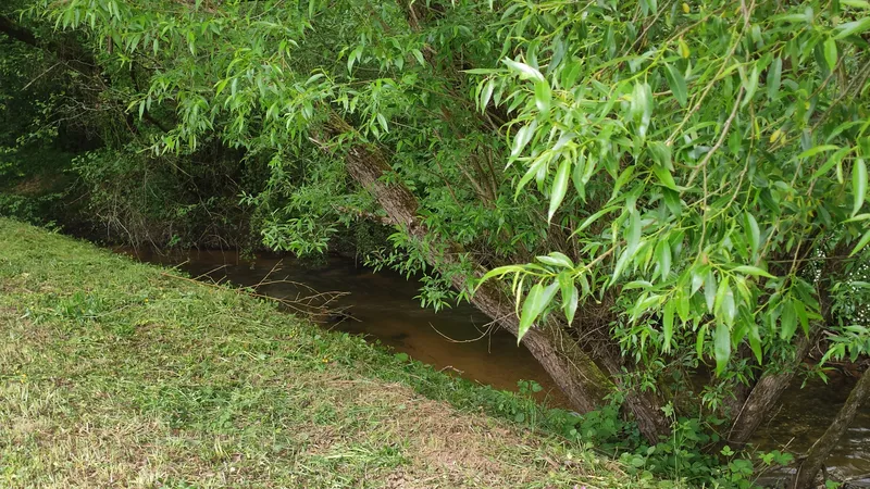 Etival-Clairefontaine-2